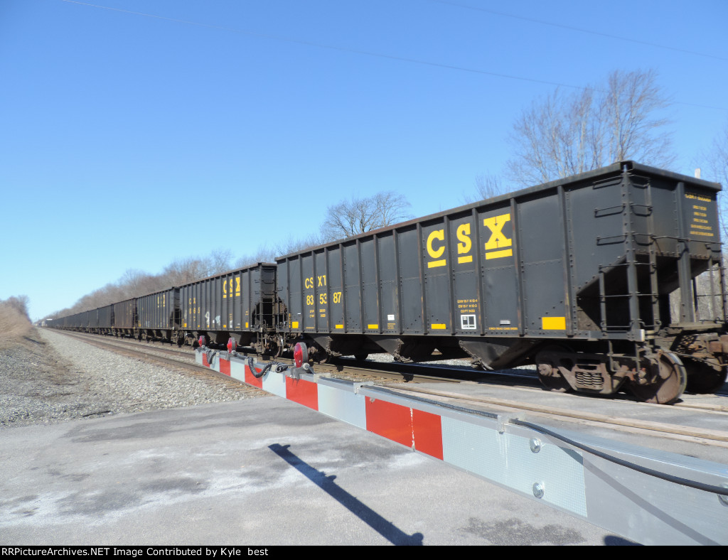 CSX coal cars 